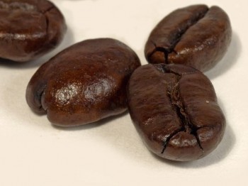 自行挑選咖啡豆