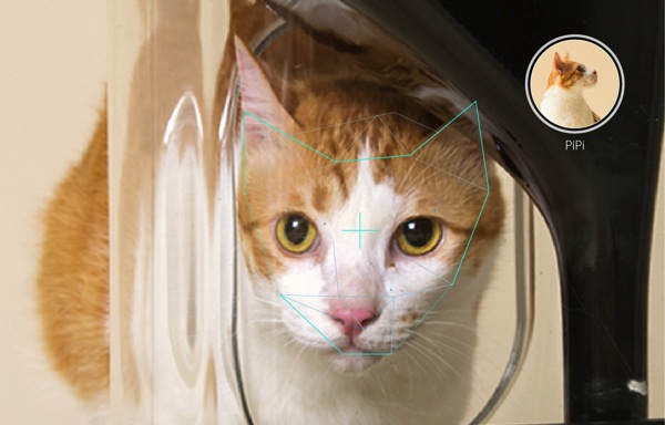 2014看準持續成長的寵物市場及寵物貓健康監測的需求，奇群科技運用最先進的深度學習平台「JARVIS.AI」開發貓臉辨識技術 copy