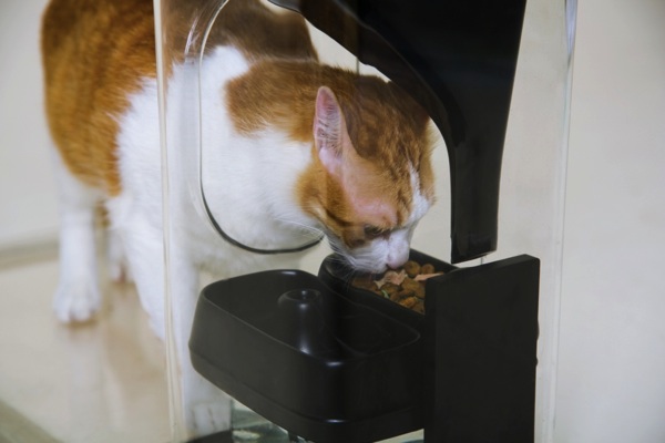42 ARK首創全球第一台Bistro貓臉辨識智慧型餵食器 copy