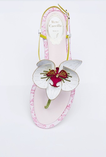 RENE CAOVILLA_DIAMOND ORCHID•蘭鑽平底鞋 copy