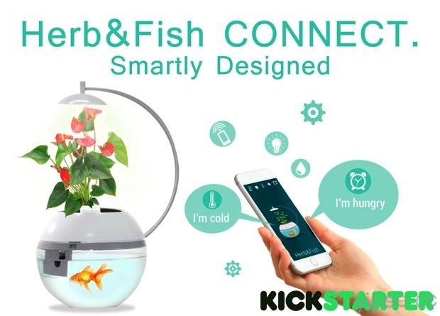 第二代香草與魚，讓花草和魚可以用手機和你溝通！
