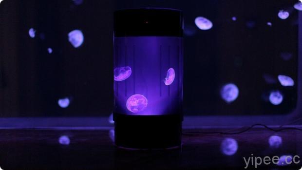 Jellyfish Aquarium (6)