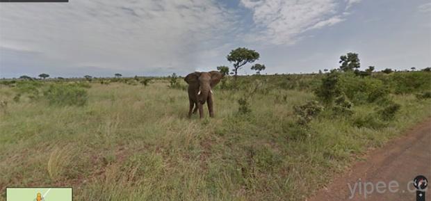 不用搭飛機，Google 地圖也能帶你參觀南非