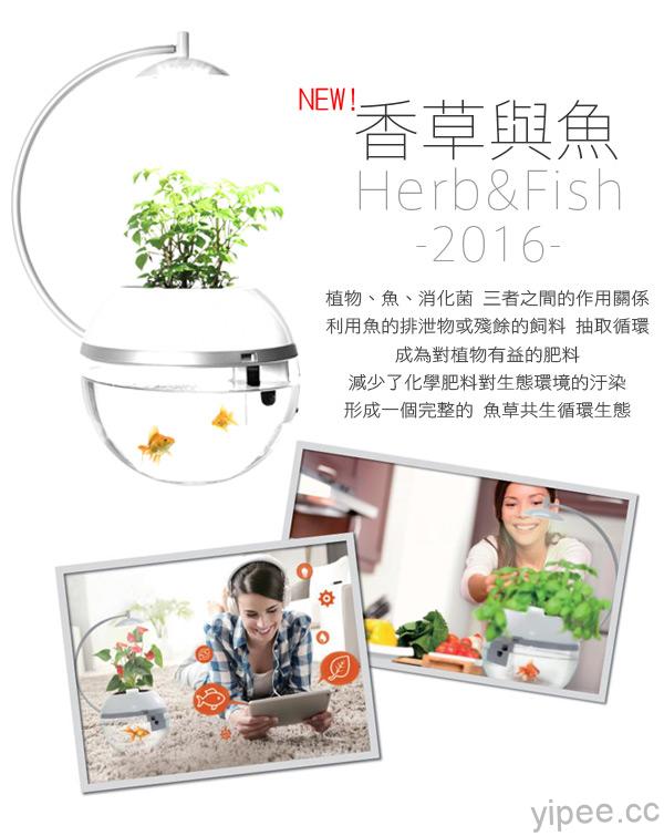 香草與魚Herb & Fish 2016全面進化