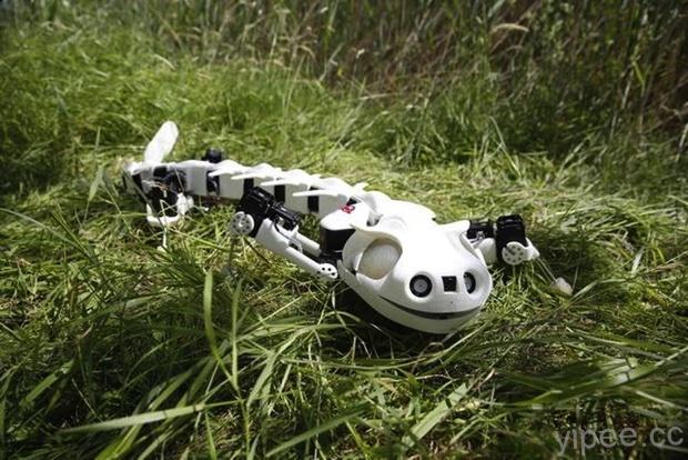 難以置信，這隻 3D 列印蠑螈機器人竟然可以幫助病患?!