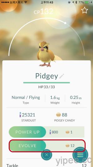 pokemon-go-pidgey-upgrade-1
