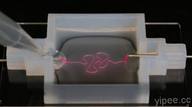 醫學科技躍進，3D 列印腎臟組織功能接近真實！