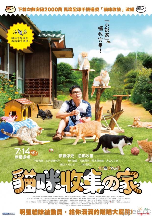 新片資訊：【貓咪收集之家】 / 明星貓咪總動員，給你滿滿的喵喵大庭院！