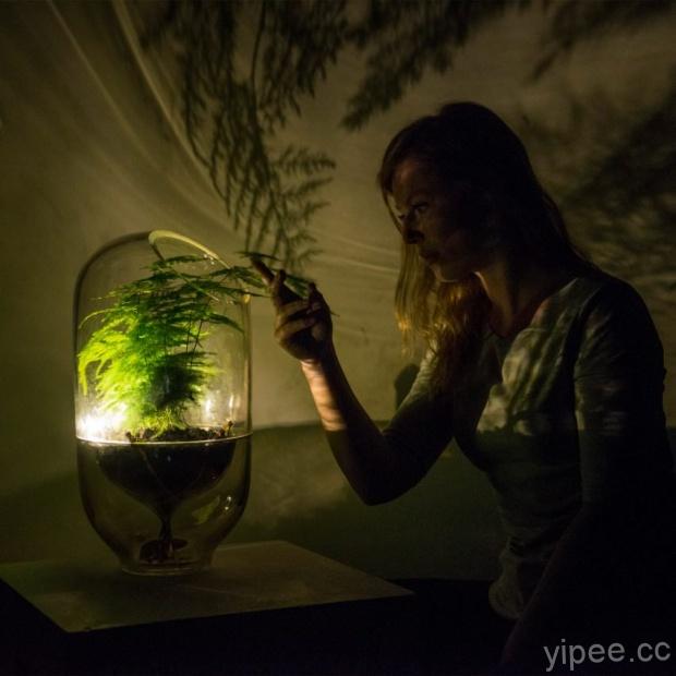 荷蘭設計師打造「Living Light」植物電燈，觸碰葉子就會發光