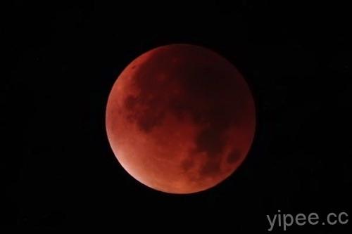 睽違 152年「紅色超級藍月」登場！全球 LIVE 直播，保證你看得到月全食