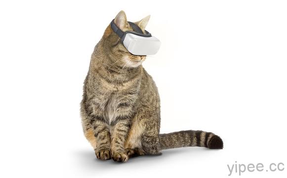 全球首款「貓用 VR 眼鏡」，讓喵星人乖乖待在家抓魚