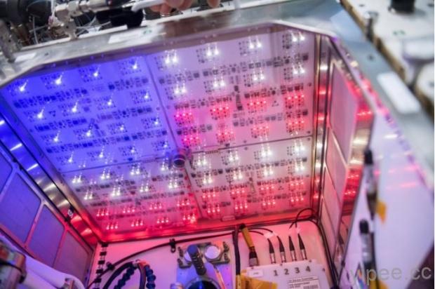 太空人慶祝美國國慶，把太空農場的 LED 燈改成美國國旗