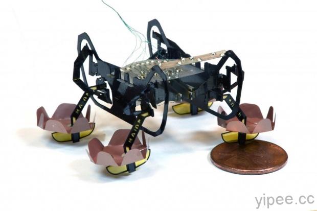 HAMR 微型機器人像水黽，不僅能在水面滑行，還能沉到水底行走