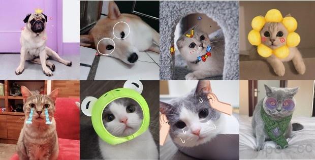《美顏相機》推出萌寵 AR，輕鬆辨識貓狗臉部輪廓拍萌照