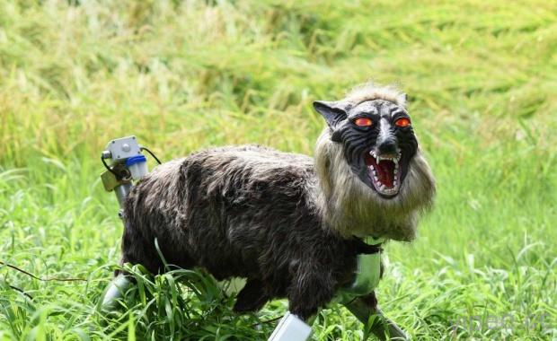 日本研發可怕的機器狼，幫助農民保護農作物