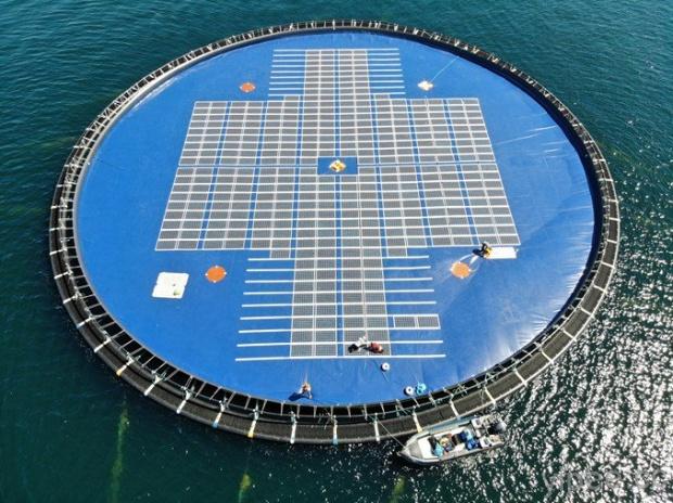 太陽能不是只能種在田裡，挪威 Ocean Sun 開發全新水面浮動式太陽能發電系統