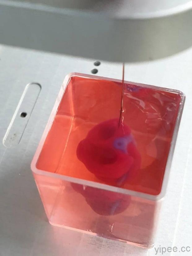 以色列研究員創全球首例，以人體組織為材料創造 3D 列印心臟