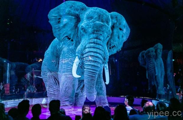 德國馬戲團用 3D 投影動物表演，1:1大象超真實！