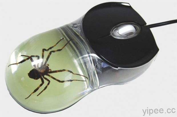 怕蟲勿入！Realbug 竟然在滑鼠裡嵌入蜘蛛、毒蠍子、蜈蚣等昆蟲標本