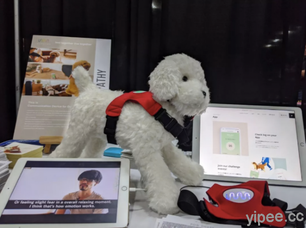 【CES 2020】日本公司開發毛小孩專用 Inupathy，幫助主人分析狗寶貝的心情