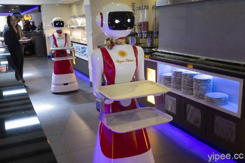 防疫保持安全距離！荷蘭餐館找來機器人當服務員