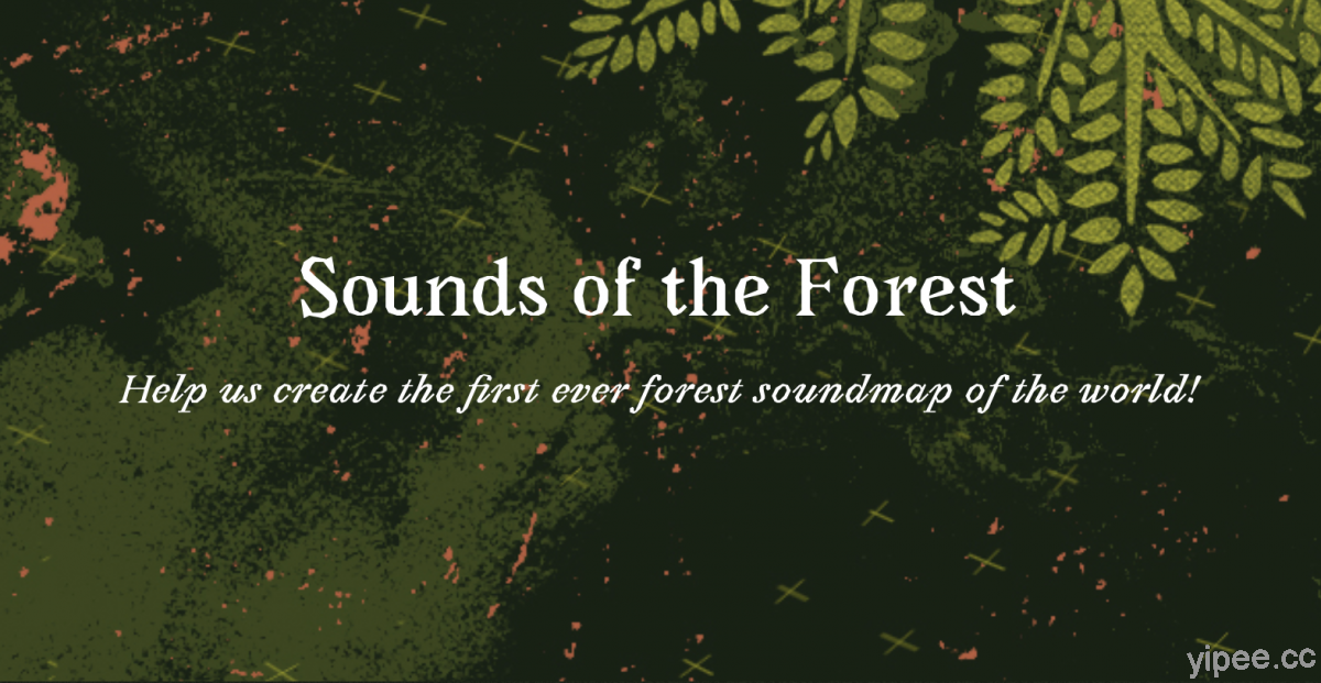 【免費】「Sounds of the Forest」全球森林之聲，在家享受蟲鳴鳥叫