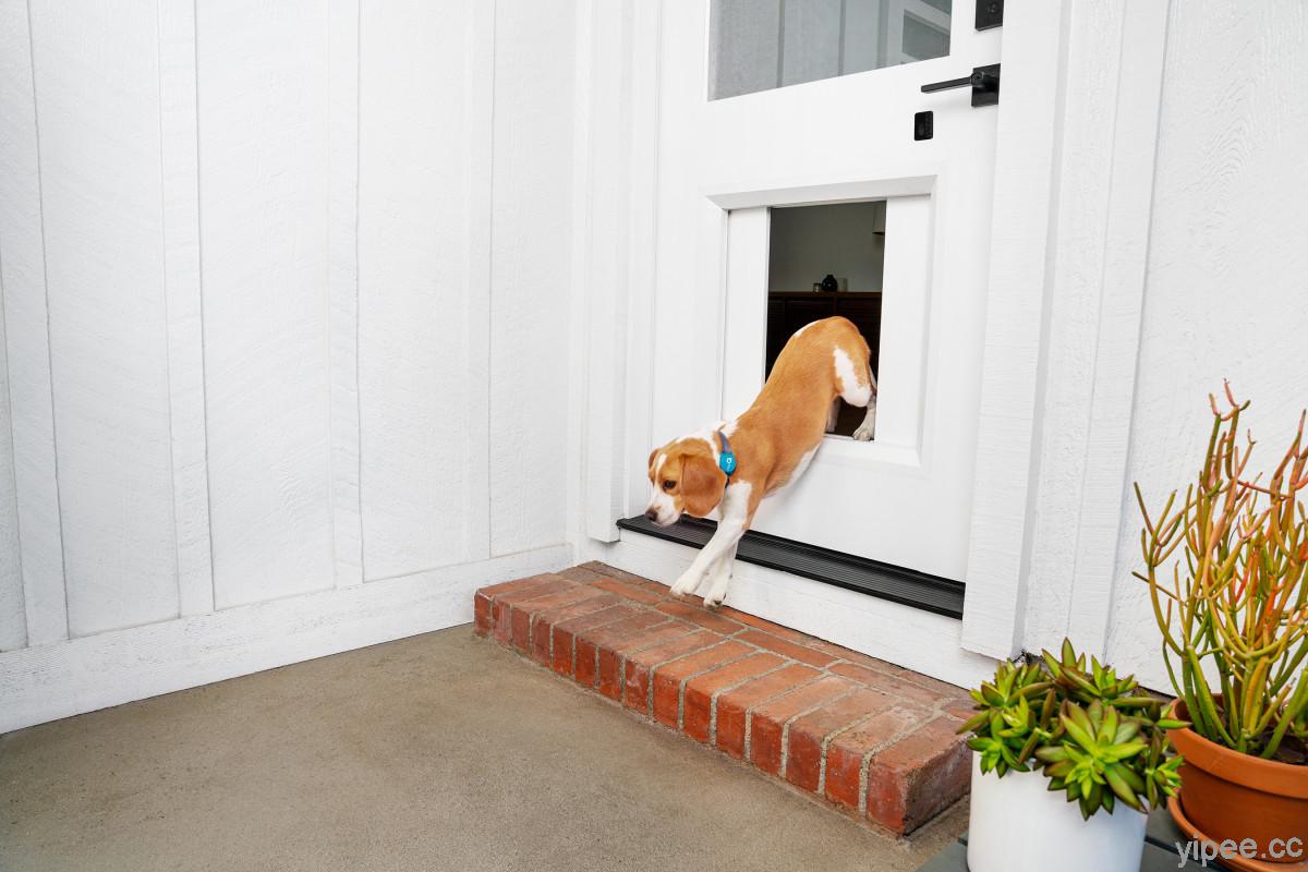 【CES 2021】MyQ Pet Door 智慧寵物門，搭配智慧項圈毛孩就能自由進出
