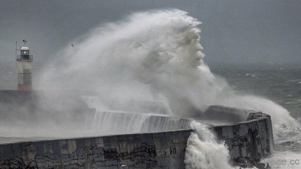 「海神」側臉照片現身，是真還是後製修圖？BBC 攝影師在英國海堤拍攝到!