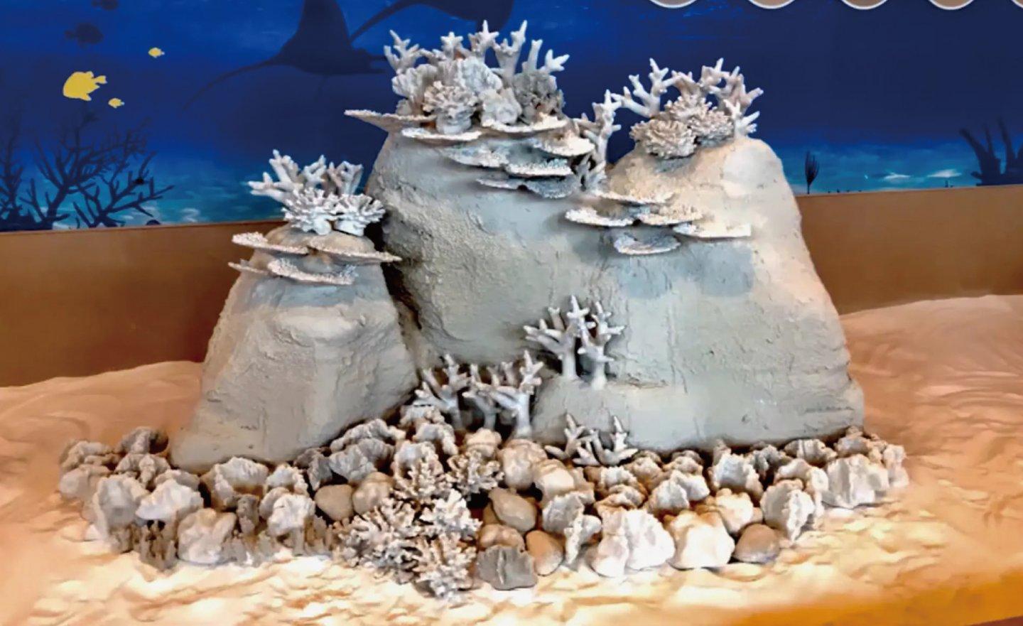 泰國大學研發 3D 列印混凝土，放海裡有助恢復珊瑚礁
