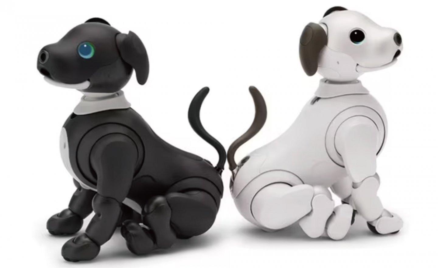 Sony aibo 機器狗推出 2023 年版，「它不會賺錢工作，但它會陪著你」