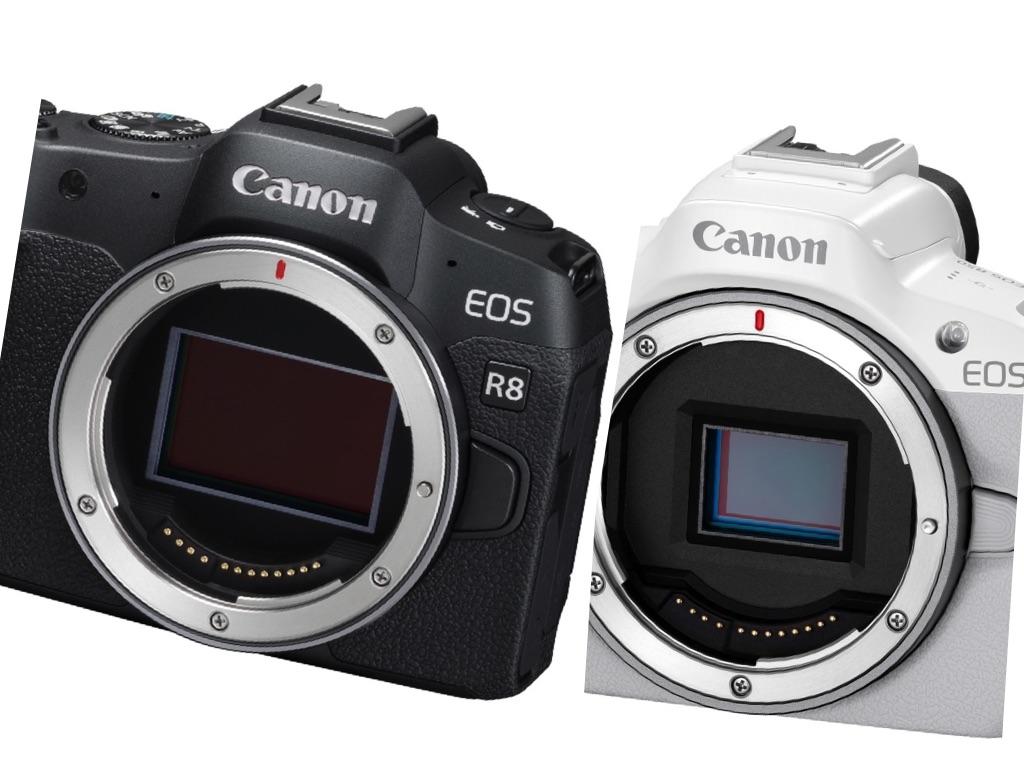 Canon 推出全片幅 EOS R8  及 EOS R50 無反光鏡單眼相機