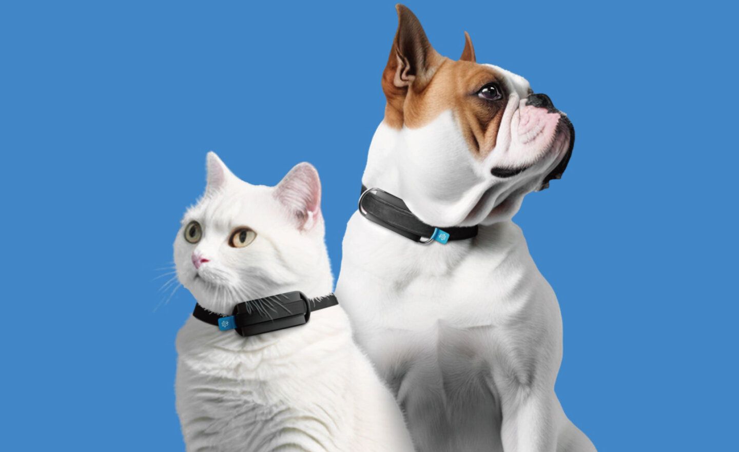 【CES 2024】新款寵物追蹤器，能隨時監控與偵測貓狗的健康狀況