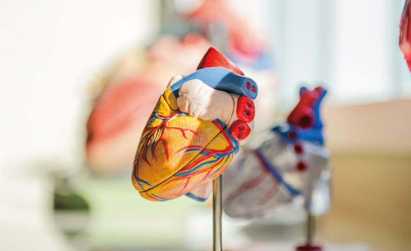 ABE Technology 推出人工智慧增強型心臟成像系統「CardioVision」