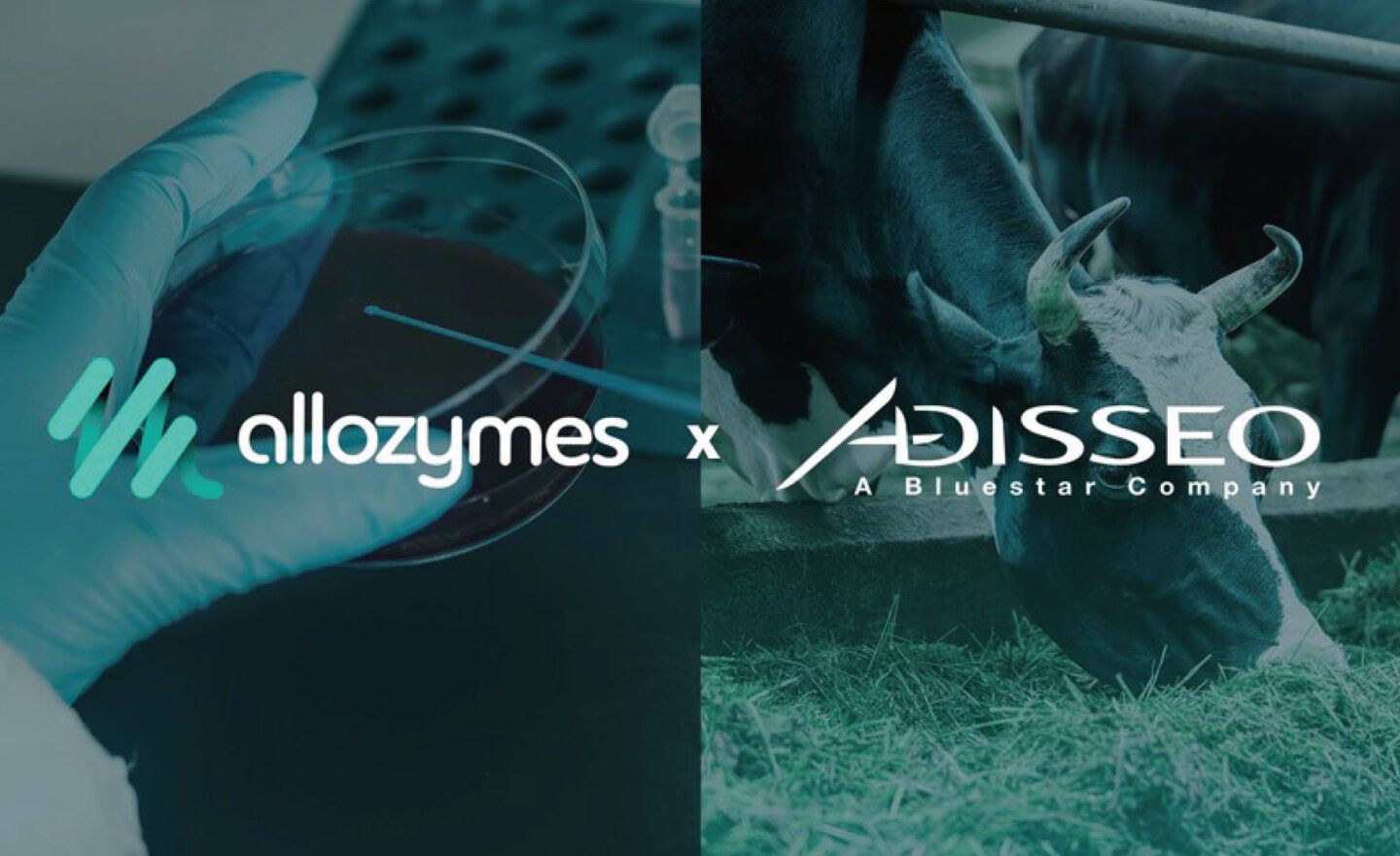 Allozymes攜手安迪蘇，以微流控技術生產新一代動物飼料